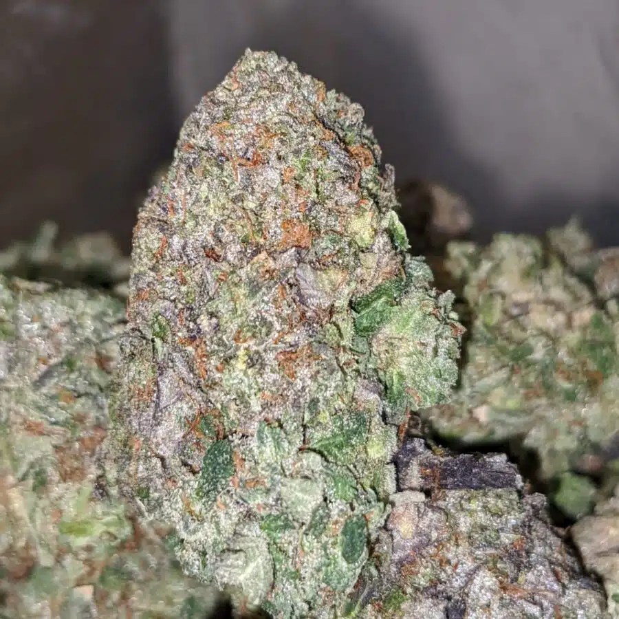MK ULTRA 2 I MK Ultra
