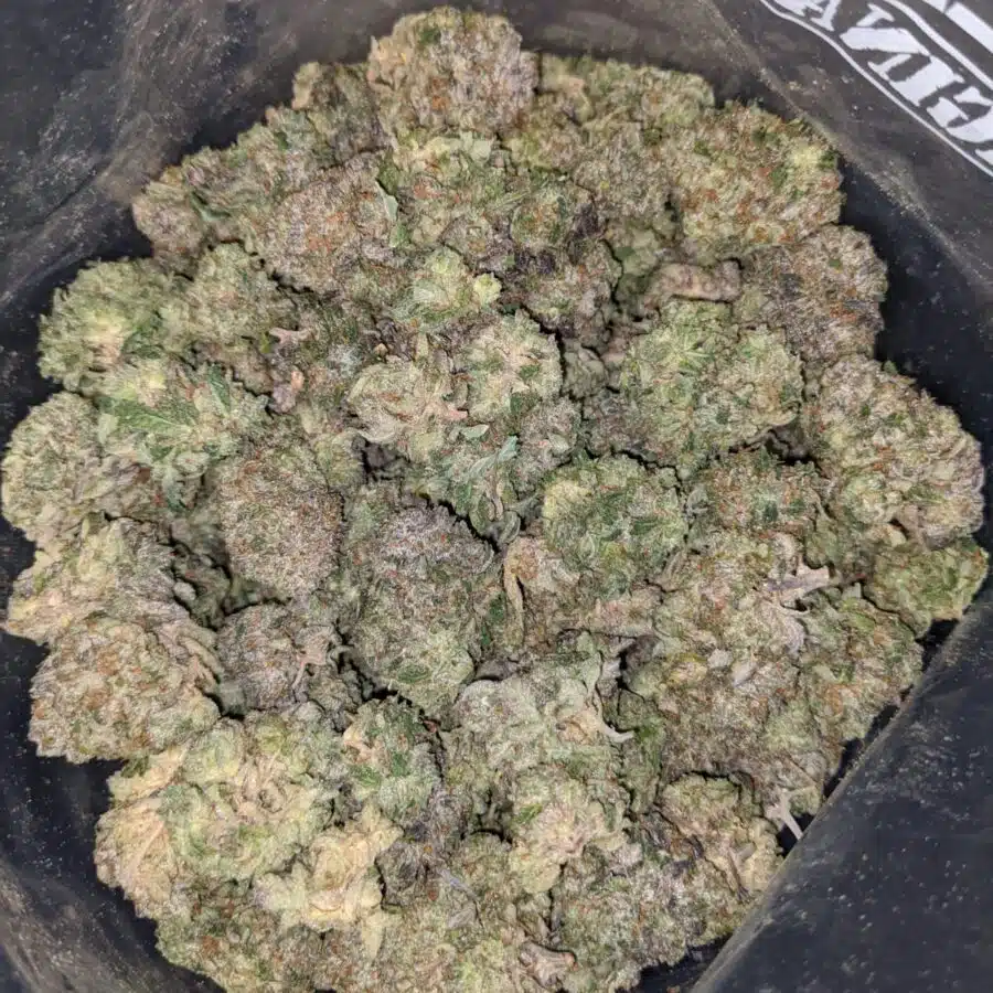 MK ULTRA 3 I MK Ultra