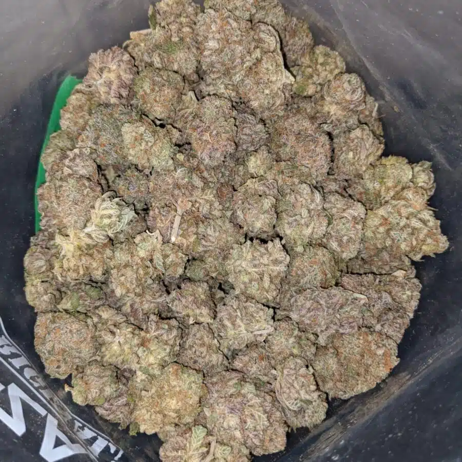 NINJA FRUIT DOD 2 I $ 59Oz - Ninja Fruit