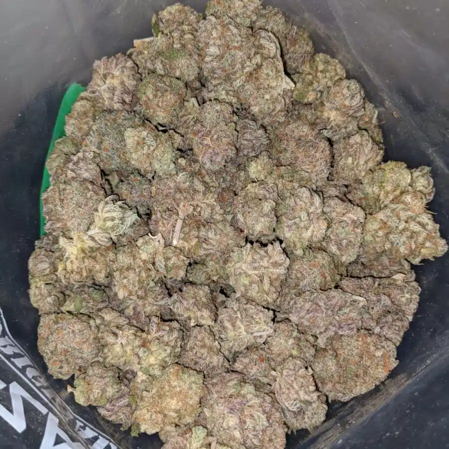NINJA FRUIT DOD 4 I $ 59Oz - Ninja Fruit