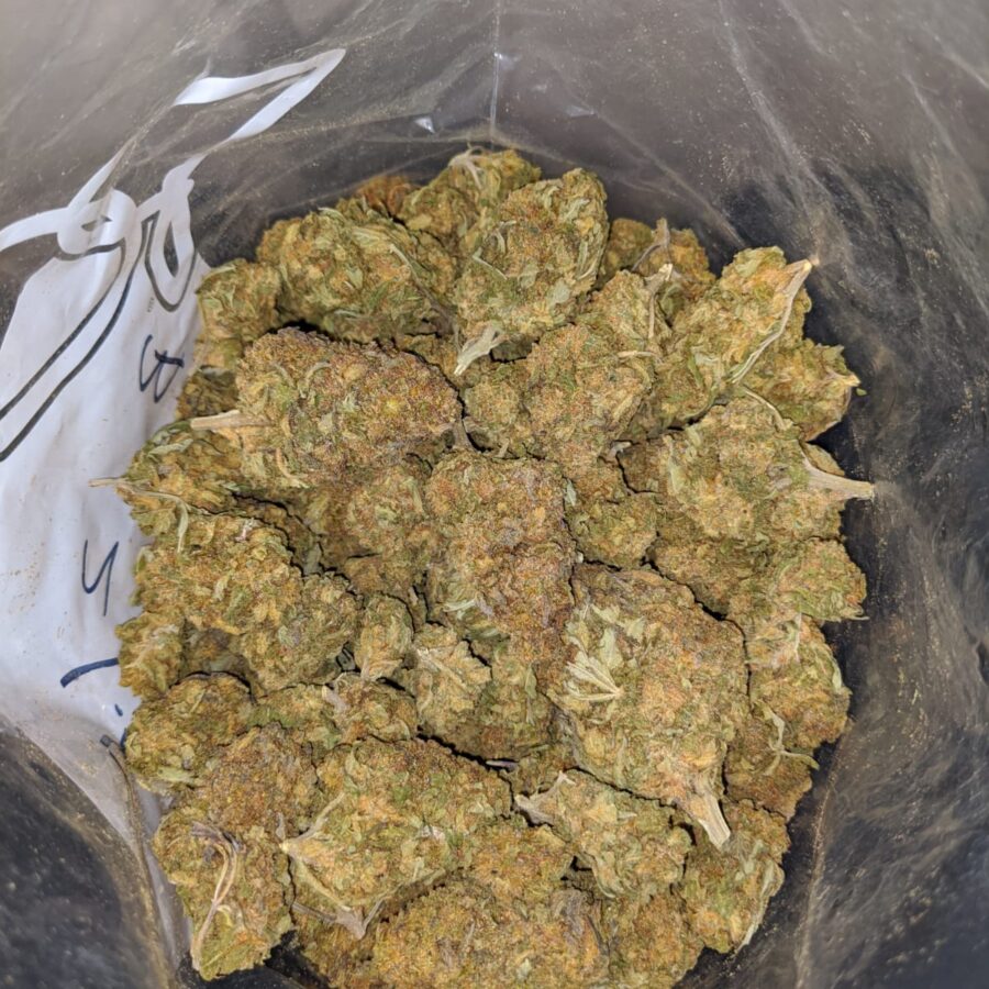 NUKEN BS 4 I Nuken Bulk Special