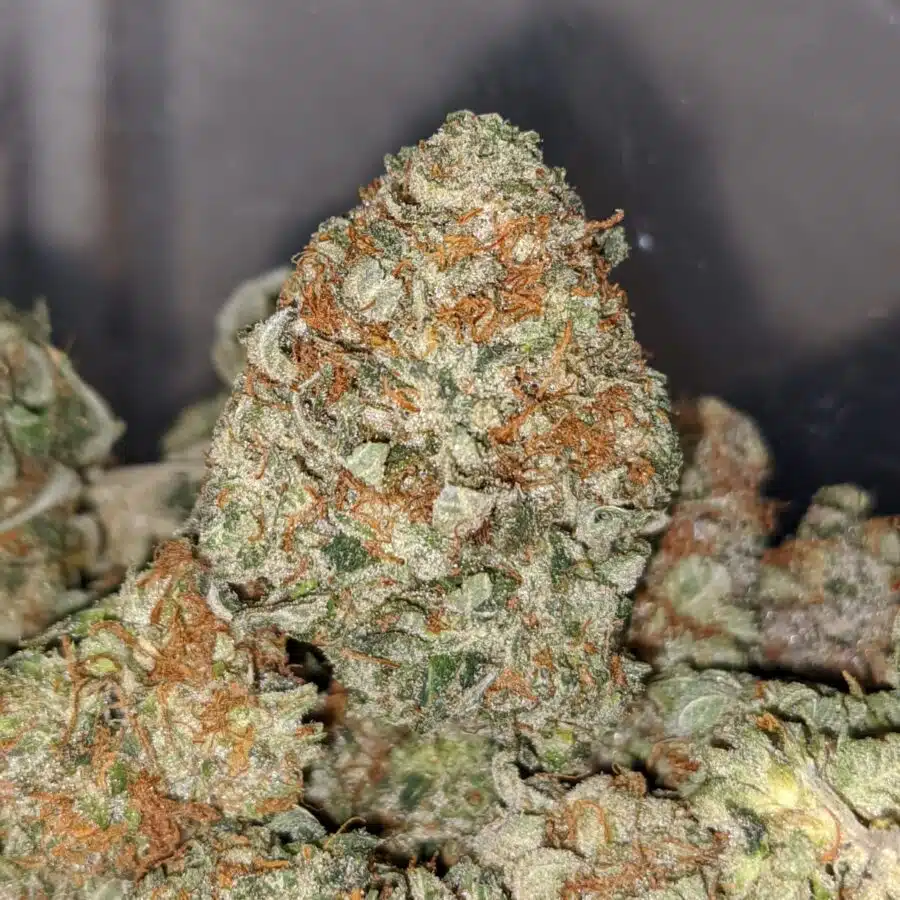 ORIGINAL OG KUSH 1 I Original OG Kush