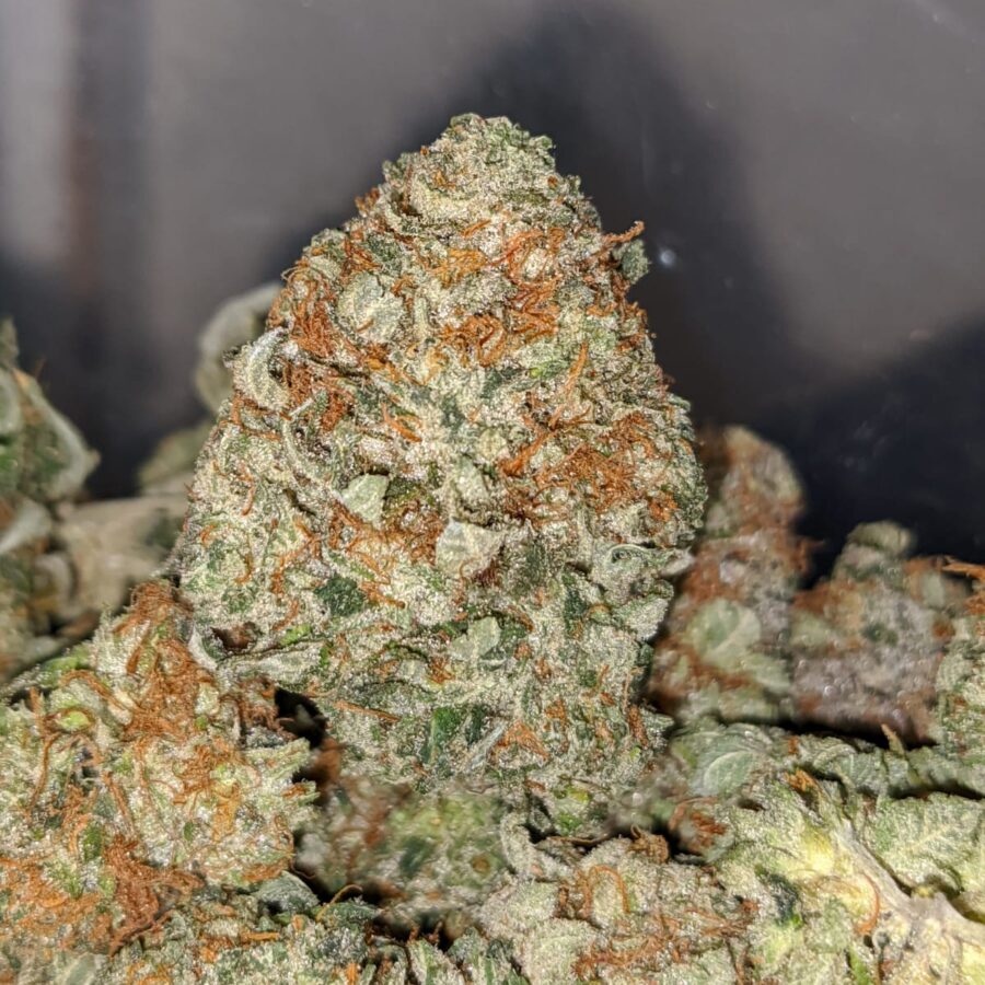 ORIGINAL OG KUSH 2 I Original OG Kush
