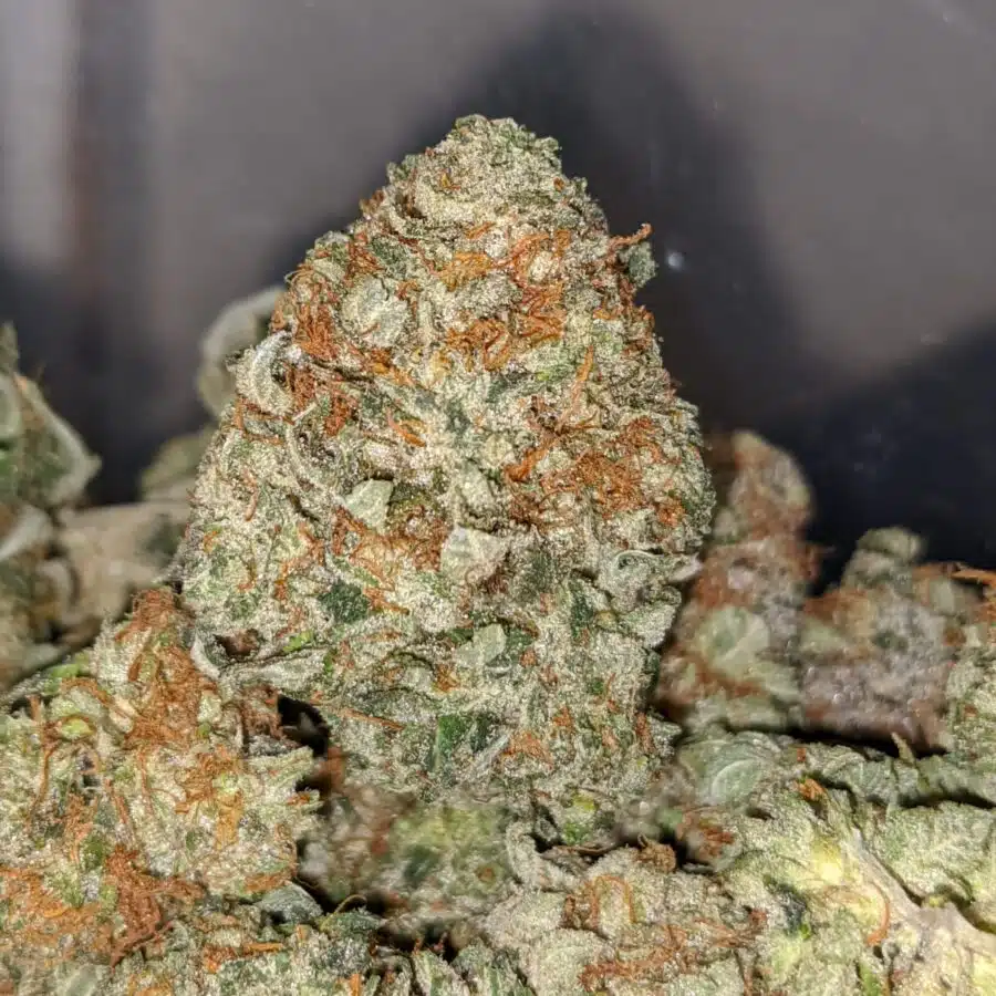 ORIGINAL OG KUSH 2 I Original OG Kush