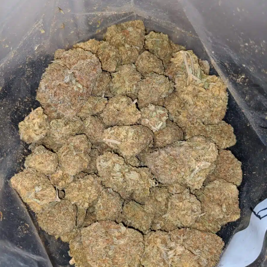 Purple Diamond