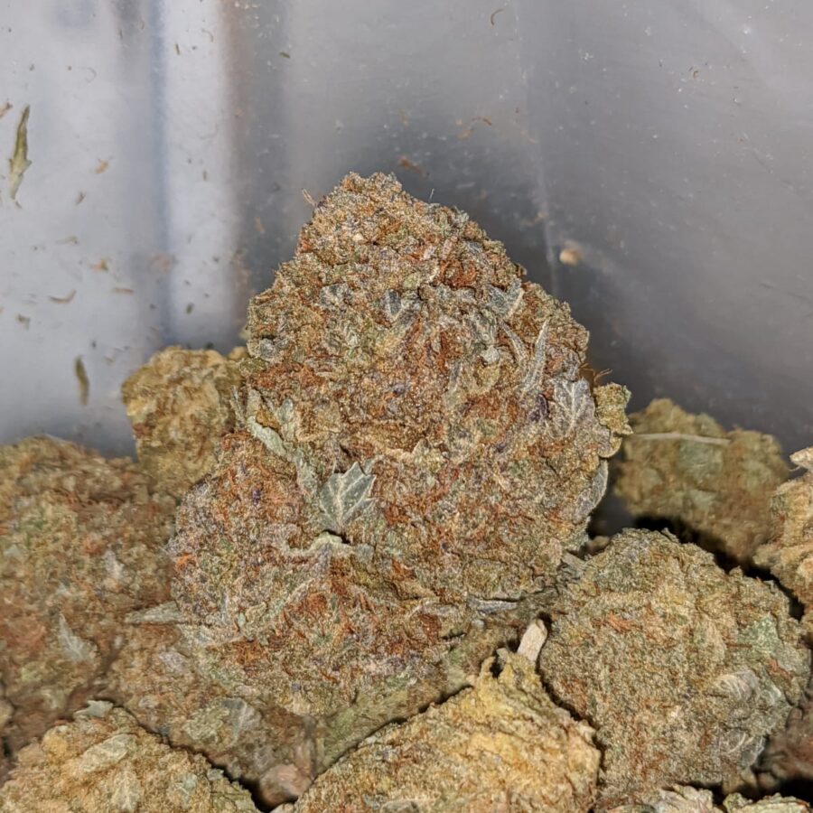 Purple Diamond - Image 2