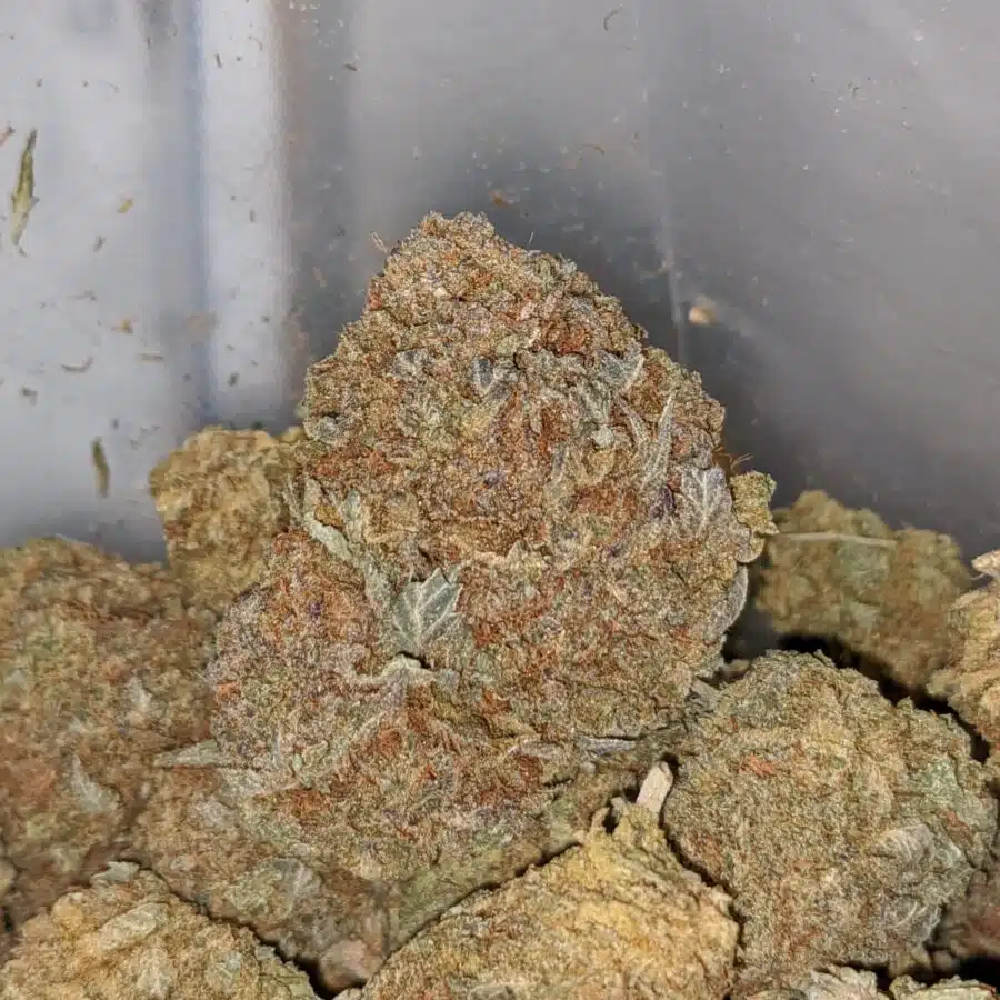 Alternative view of Purple Diamond