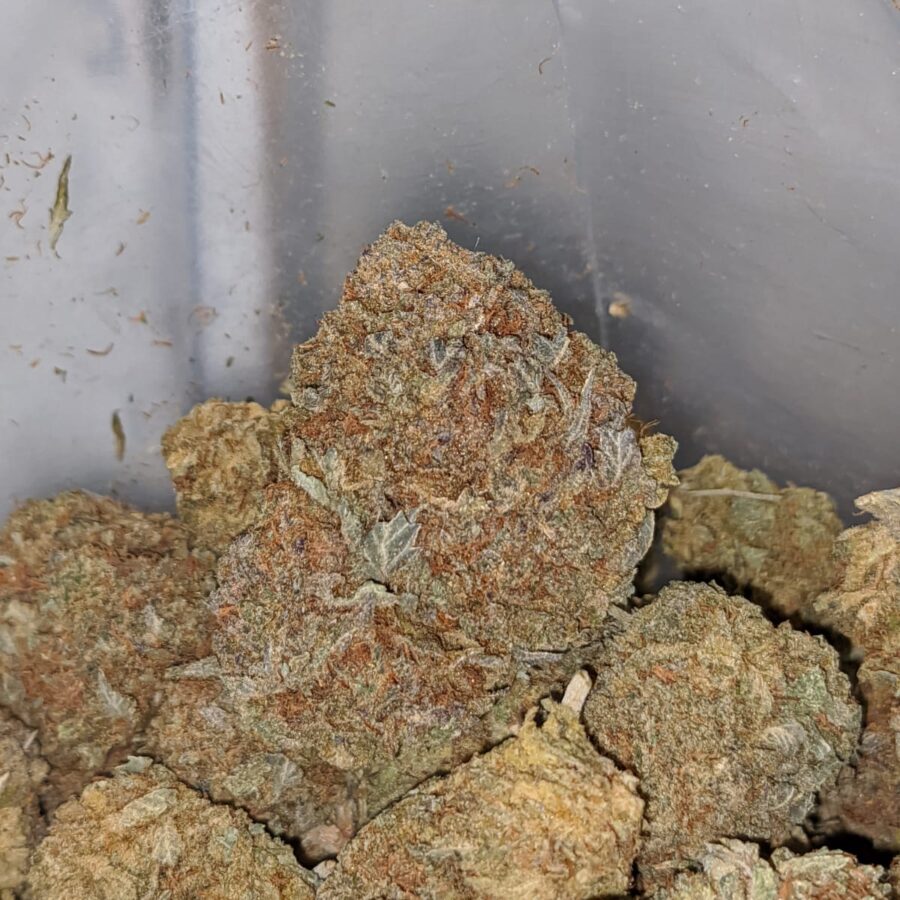 Purple Diamond - Image 5