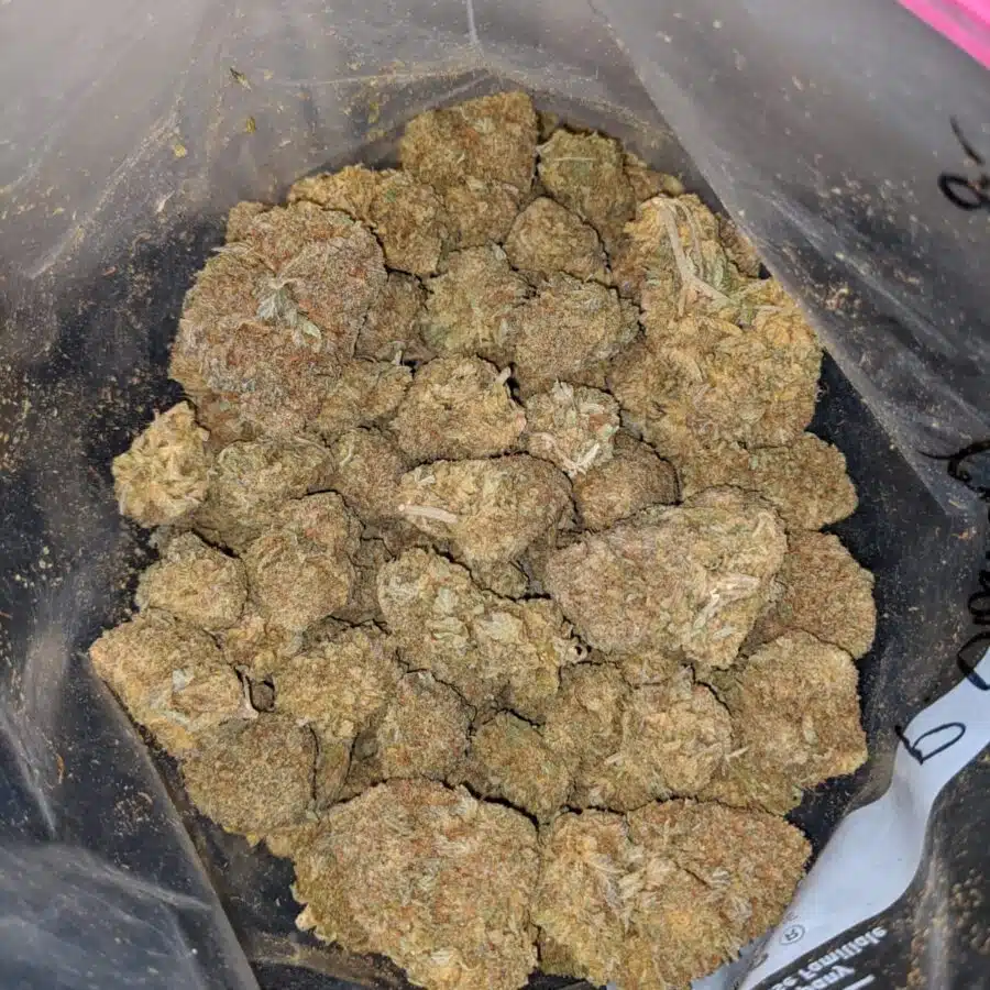 PURPLE DIAMOND 4 I Purple Diamond