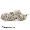 $59 Oz - Purple Lemon Drop