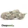 $59 Oz - Purple Lemon Drop