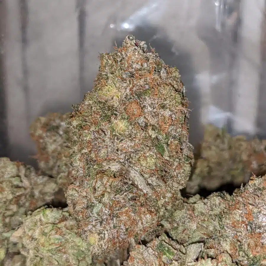 PUSSY PINK TO DEATH STAR OG 1 I Death Star OG