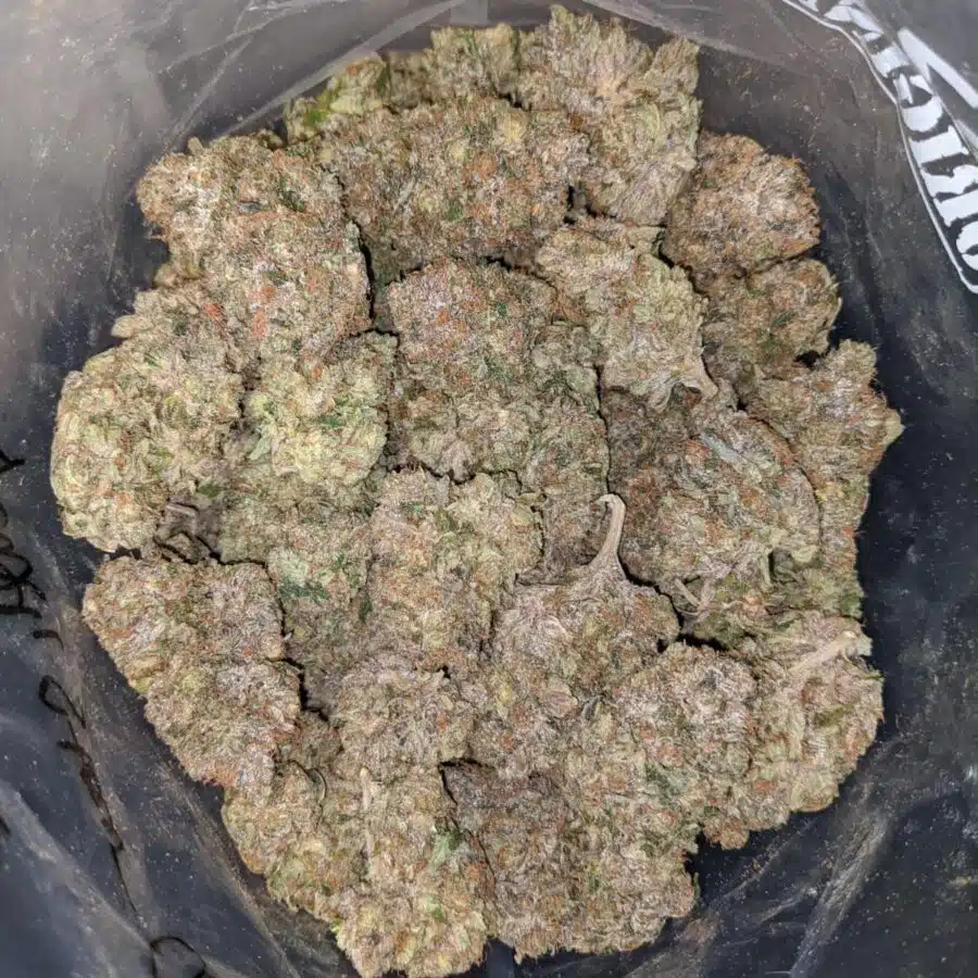 PUSSY PINK TO DEATH STAR OG 2 I Death Star OG
