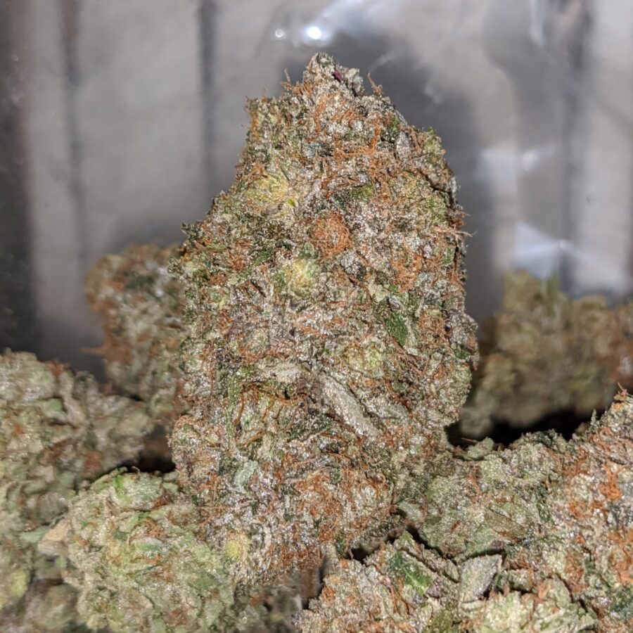 PUSSY PINK TO DEATH STAR OG 3 I Death Star OG