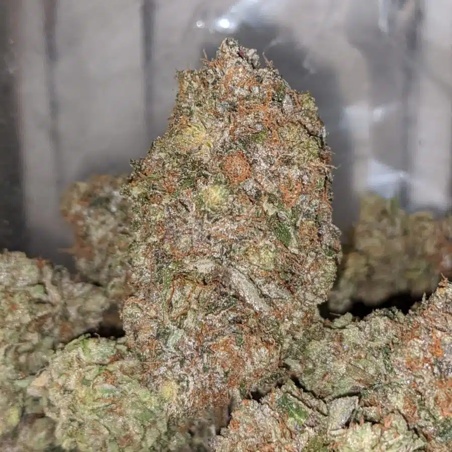 PUSSY PINK TO DEATH STAR OG 3 I Death Star OG