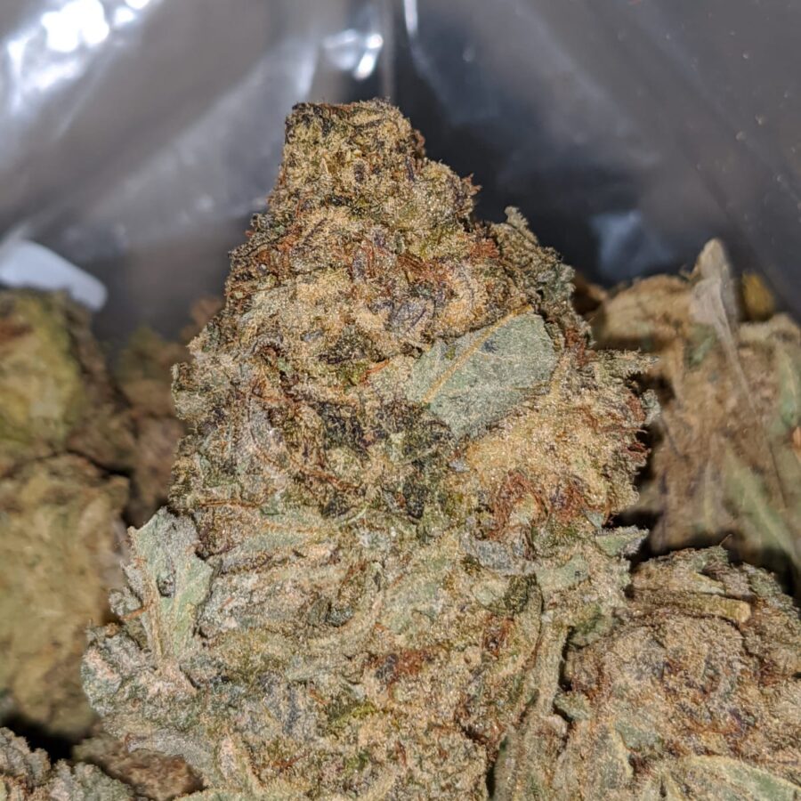 Purple Widow BS 2 I Purple Widow Bulk Special