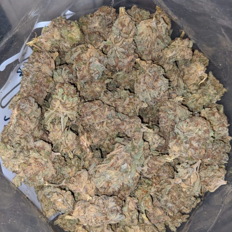 Purple Widow BS 3 I Purple Widow Bulk Special