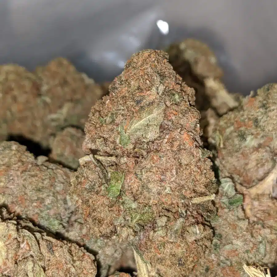SOUR BUBBA BS 1 1 I Sour Bubba Bulk Special