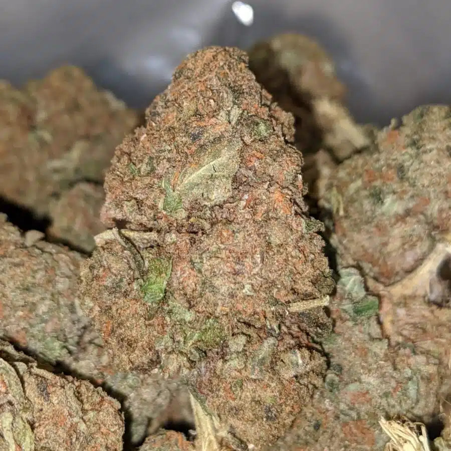 SOUR BUBBA BS 2 1 I Sour Bubba Bulk Special