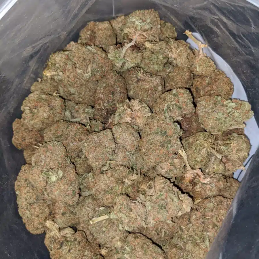 SOUR BUBBA BS 3 1 I Sour Bubba Bulk Special
