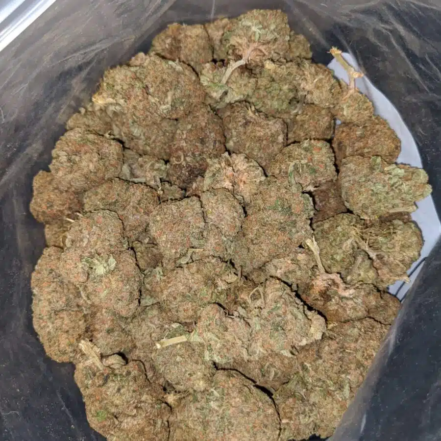 SOUR BUBBA BS 4 1 I Sour Bubba Bulk Special