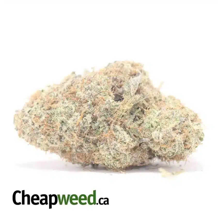$69 Oz - Wedding Crashers