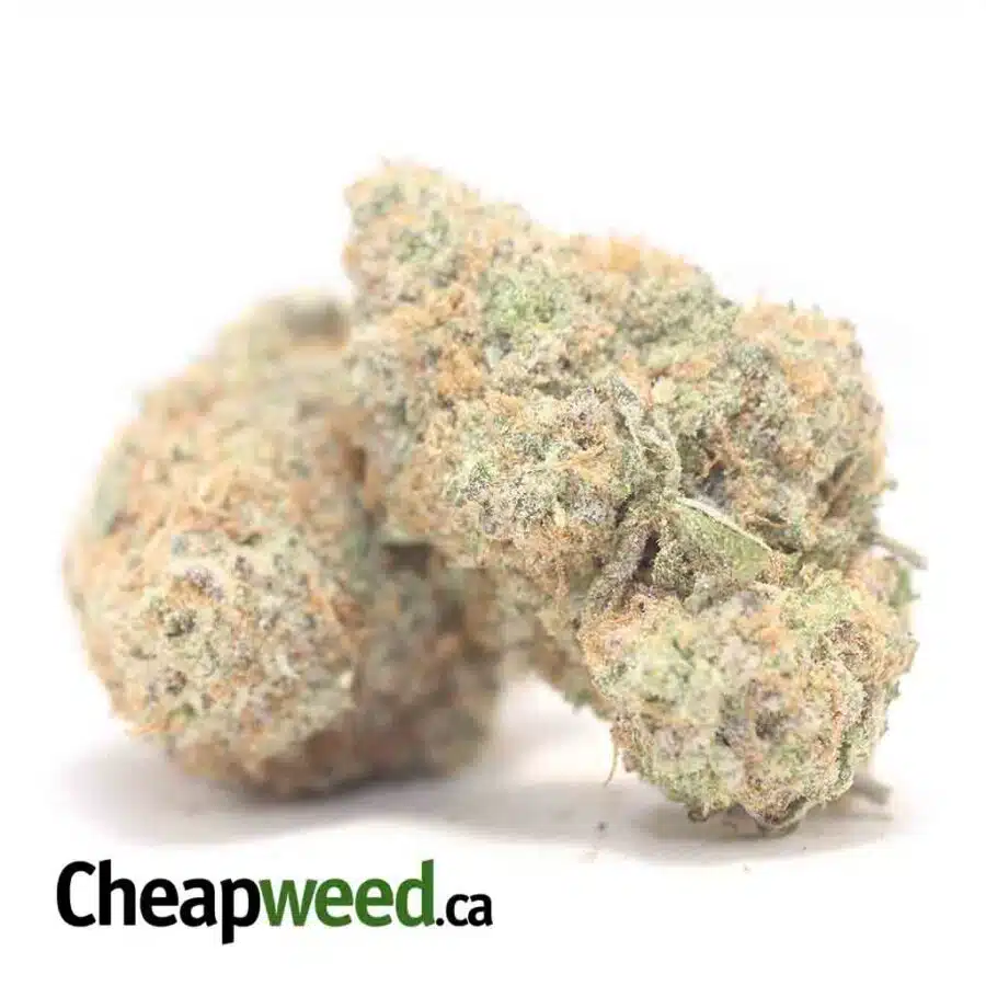 Alternative view of $69 Oz - Wedding Crashers