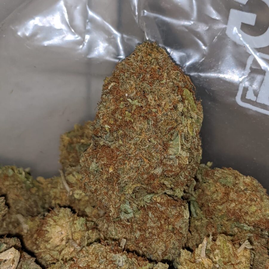 WHITE COSMIC BS 1 I White Cosmic Bulk Special