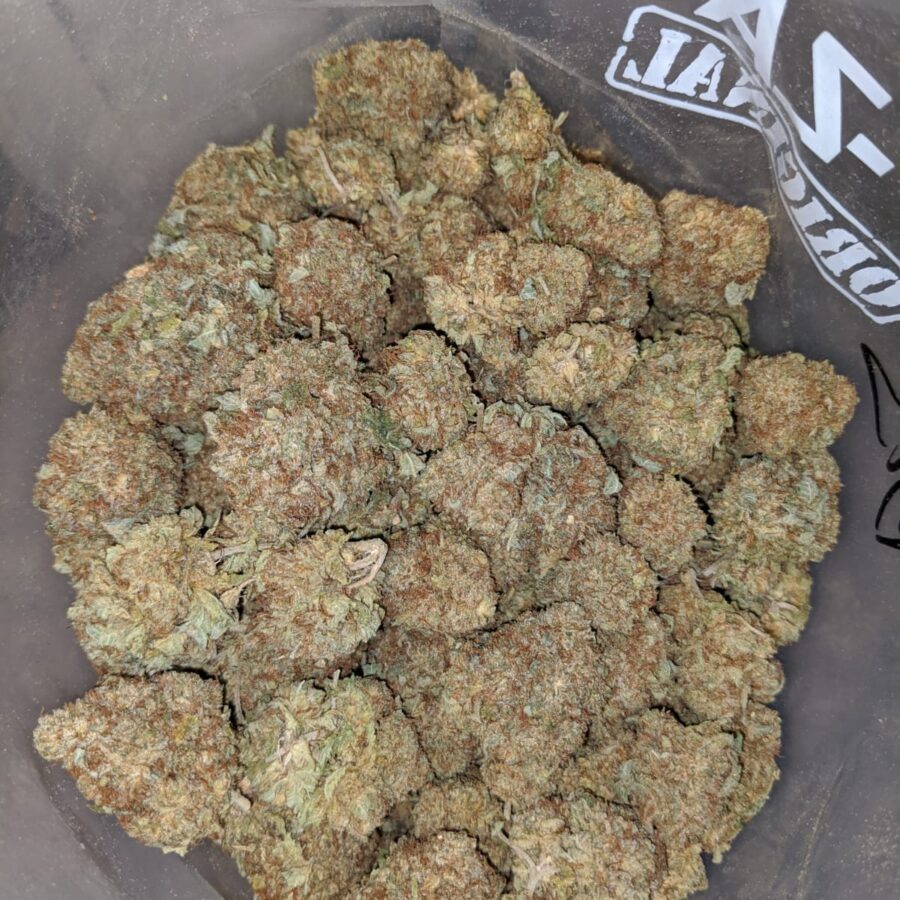 WHITE COSMIC BS 4 I White Cosmic Bulk Special