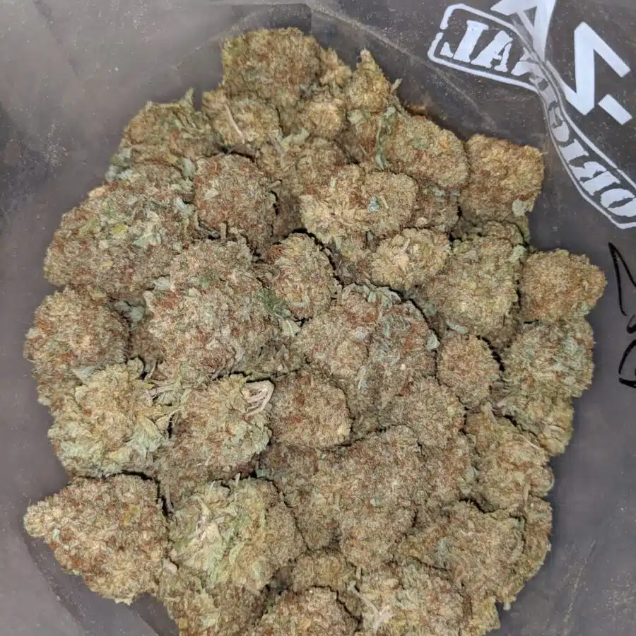 WHITE COSMIC BS 4 I White Cosmic Bulk Special