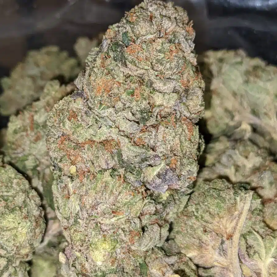 WhatsApp Image 2022 01 21 at 4.51.21 PM 1 I Bruce Banner - *Deal of the Day*