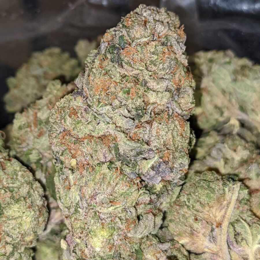 WhatsApp Image 2022 01 21 at 4.51.21 PM I Bruce Banner - *Deal of the Day*