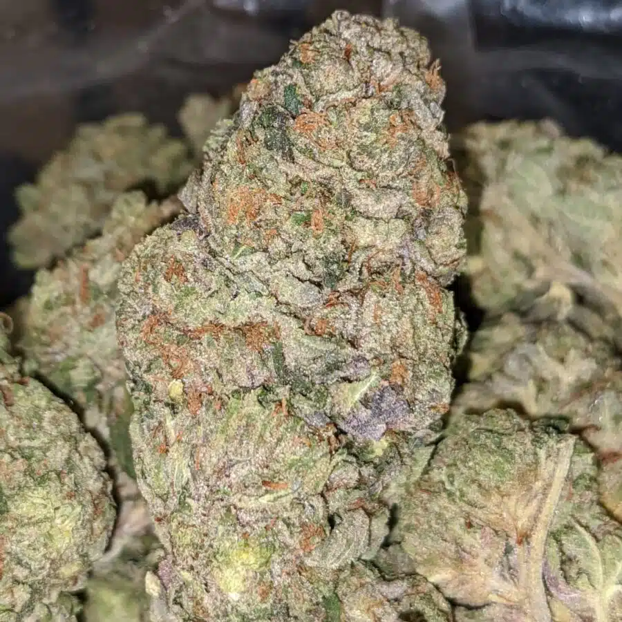 WhatsApp Image 2022 01 21 at 4.51.21 PM I Bruce Banner - *Deal of the Day*