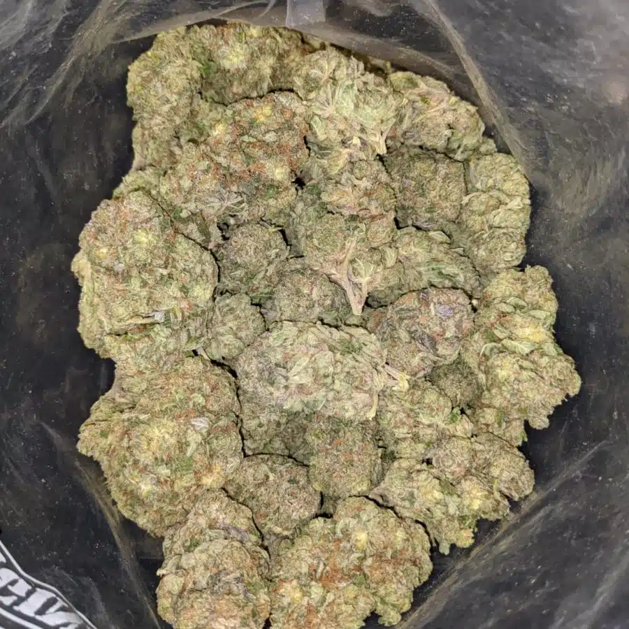 WhatsApp Image 2022 01 21 at 4.51.22 PM 1 I Bruce Banner - *Deal of the Day*