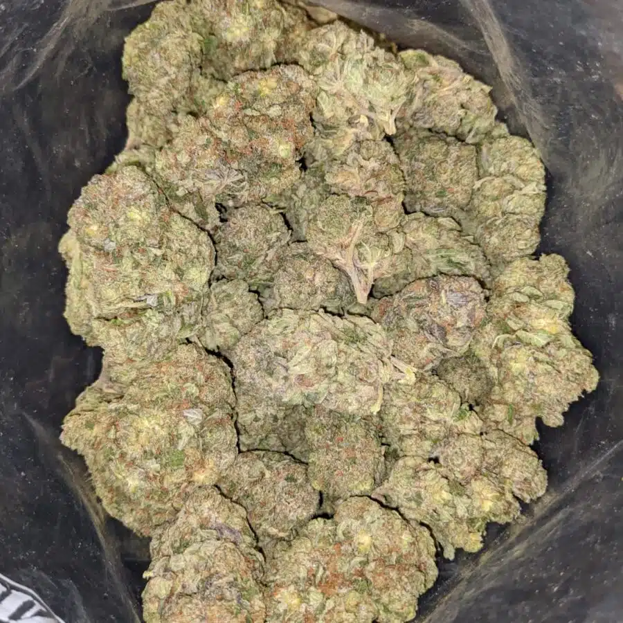 WhatsApp Image 2022 01 21 at 4.51.22 PM I Bruce Banner - *Deal of the Day*
