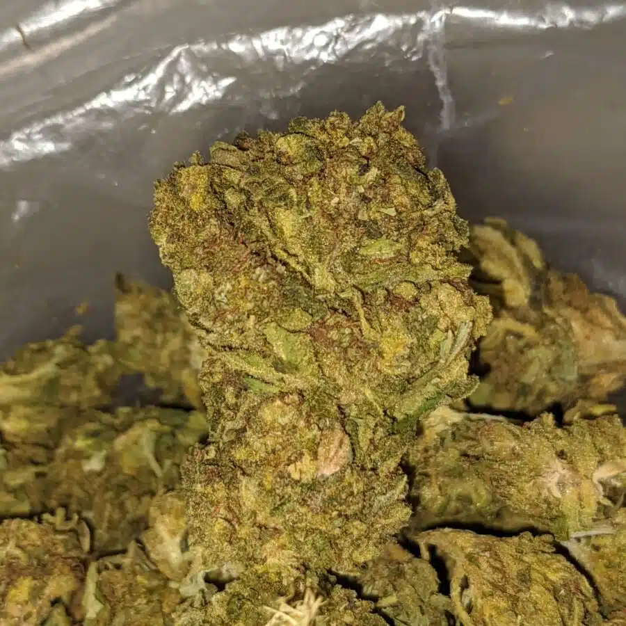 aa sour piss 1 I AA+ Sour Piss