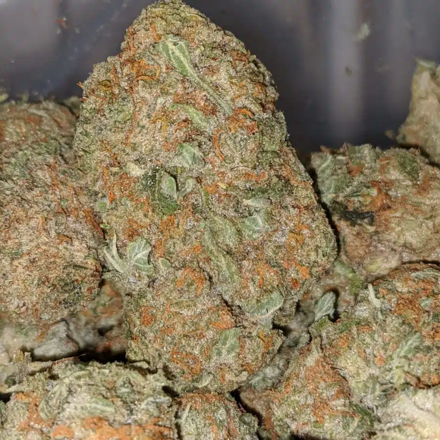 galactic cookies 2 I Galactic Cookies