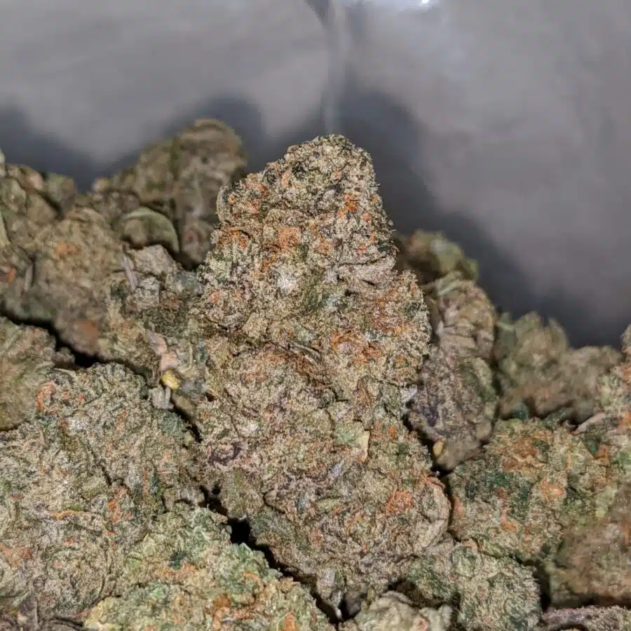 galatic haze dod 1 I Galactic Haze - *Deal Of The Day*