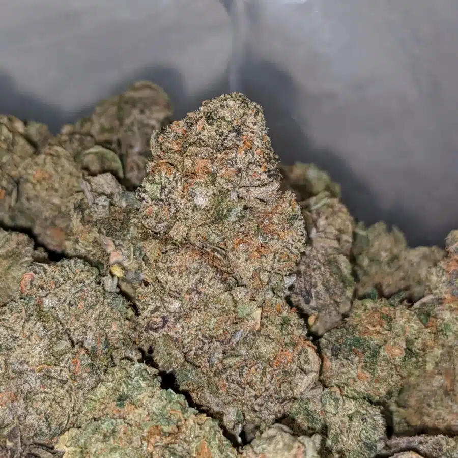 galatic haze dod 2 I Galactic Haze - *Deal Of The Day*