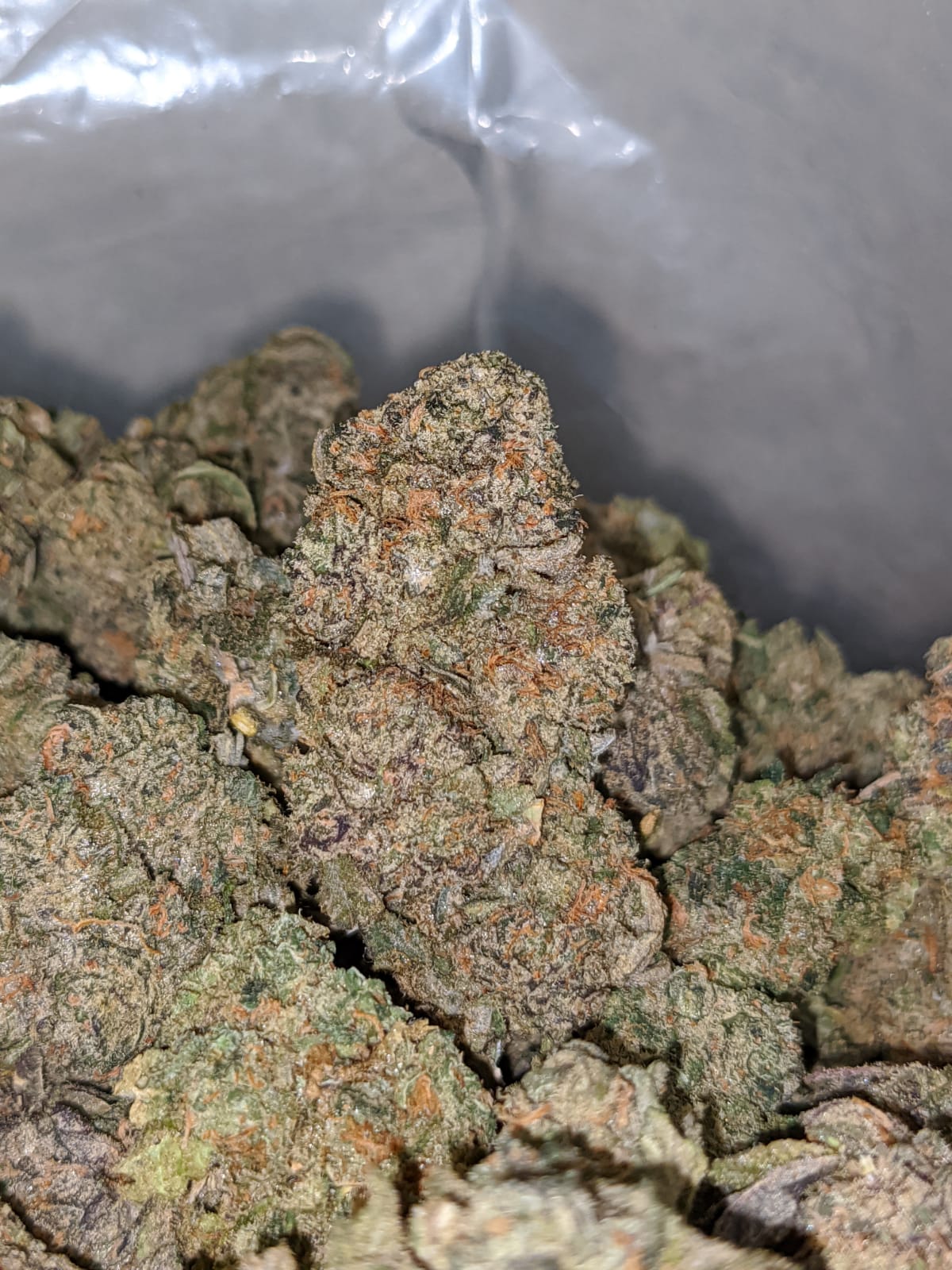 Galactic Haze - *Deal Of The Day* - Image 4