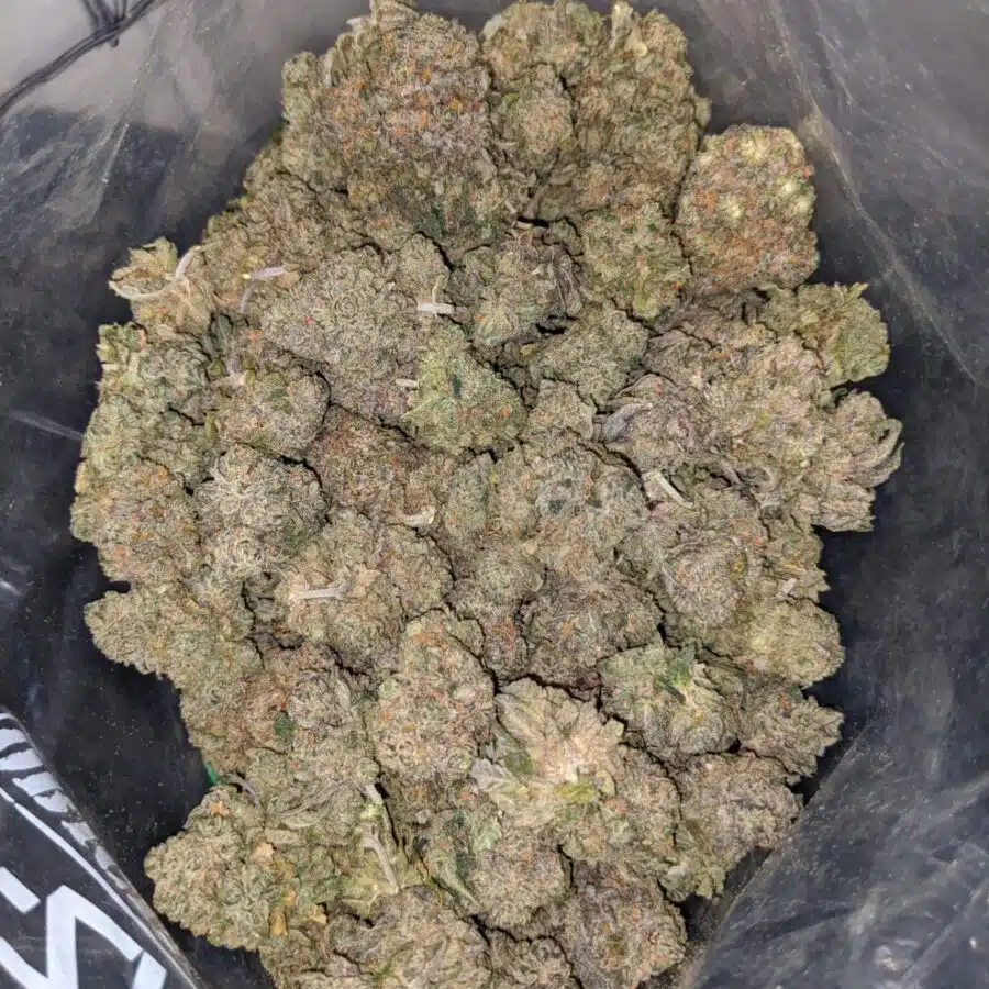 galatic haze dod 3 I Galactic Haze - *Deal Of The Day*