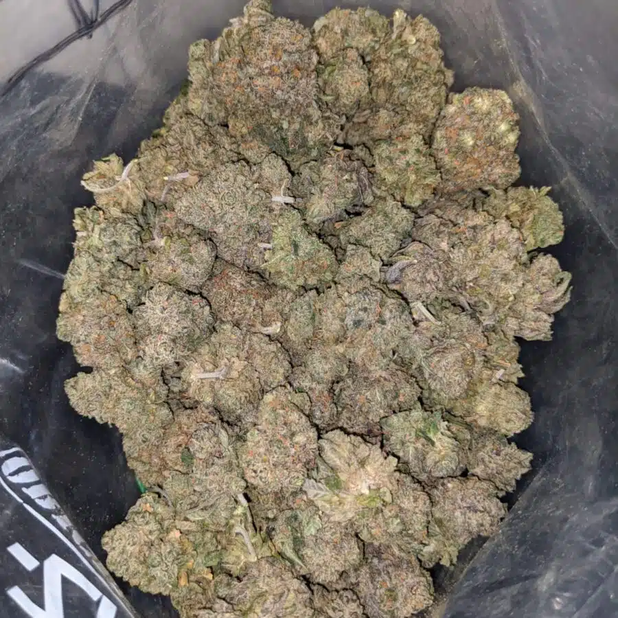 galatic haze dod 4 I Galactic Haze - *Deal Of The Day*
