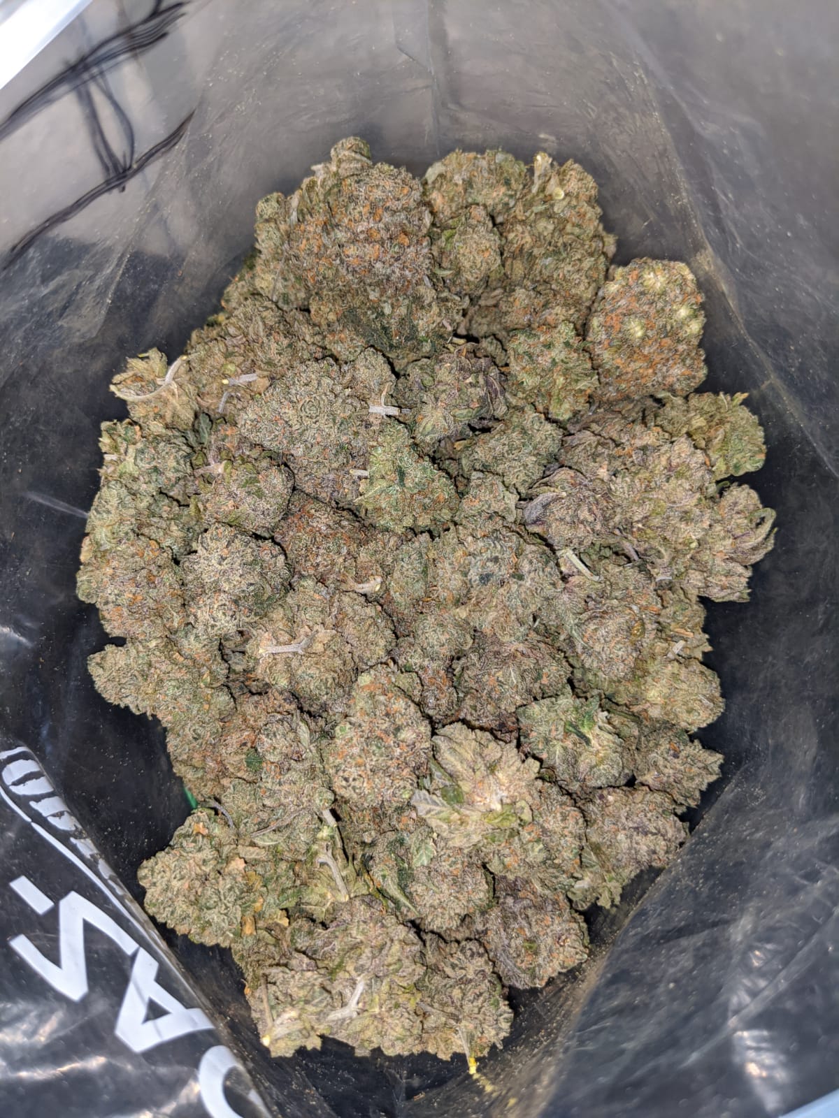 Galactic Haze - *Deal Of The Day* - Image 6