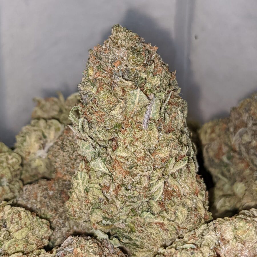 killer kush 1 I Killer Kush