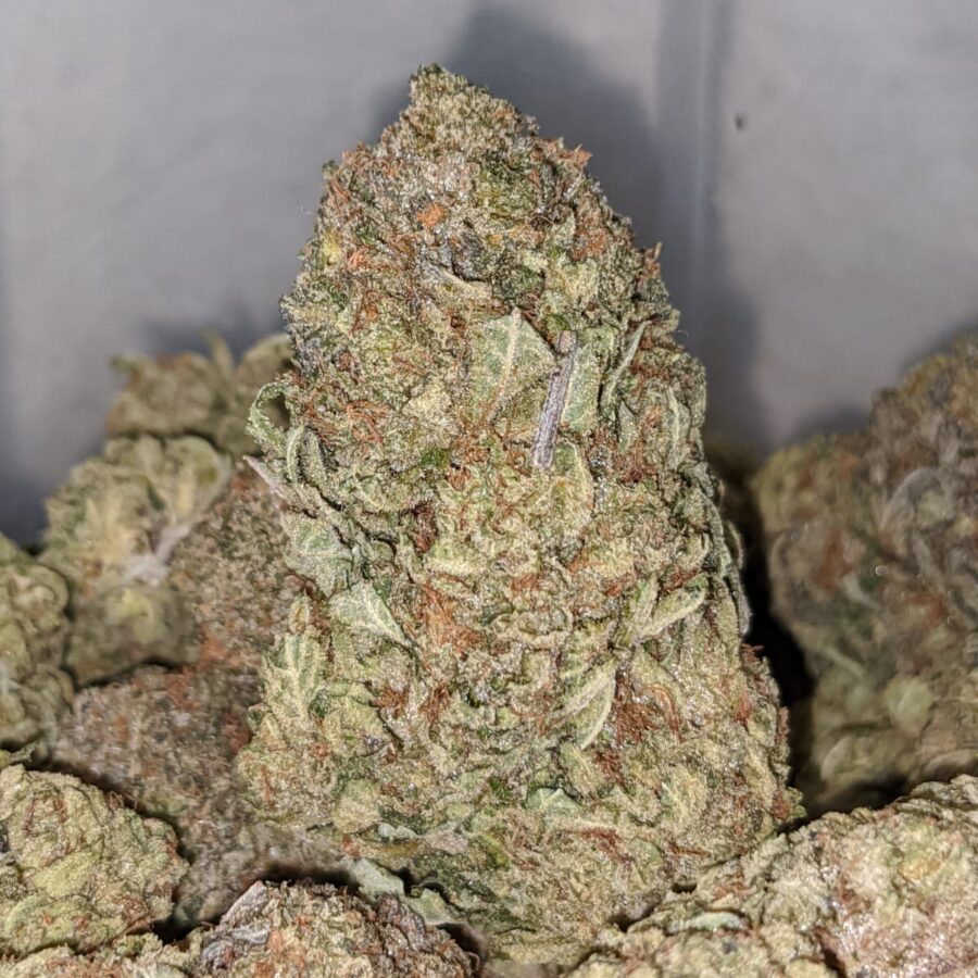 killer kush 2 I Killer Kush