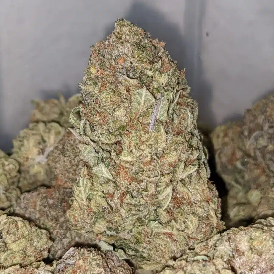 killer kush 2 I Killer Kush