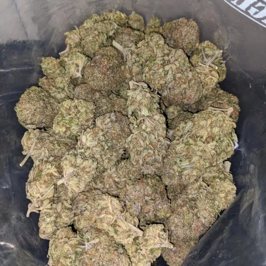 killer kush 3 I Killer Kush