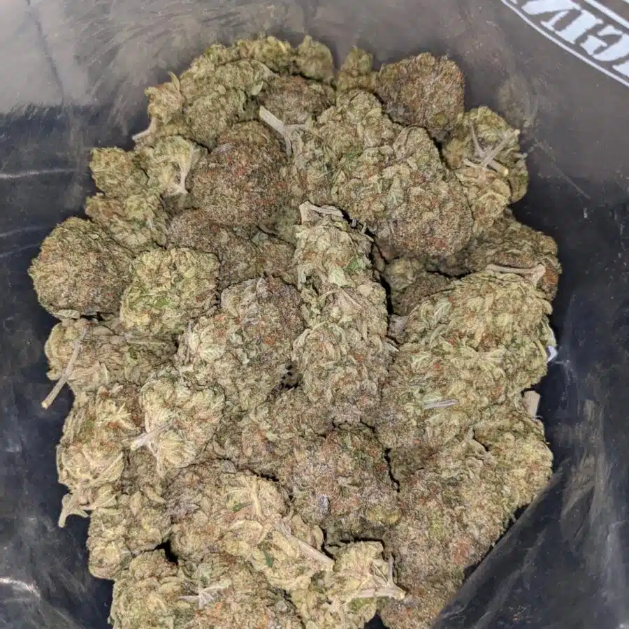 killer kush 4 I Killer Kush
