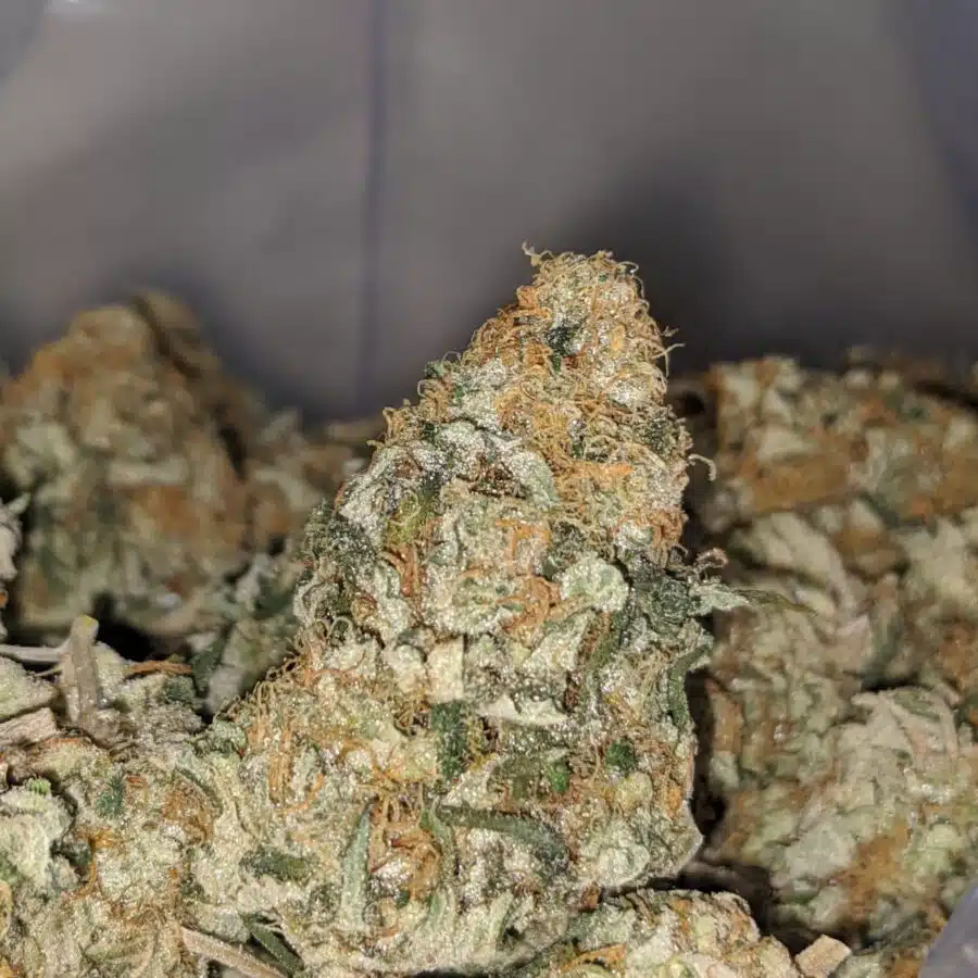 larry og dod 1 I Larry OG - *Deal of the Day*