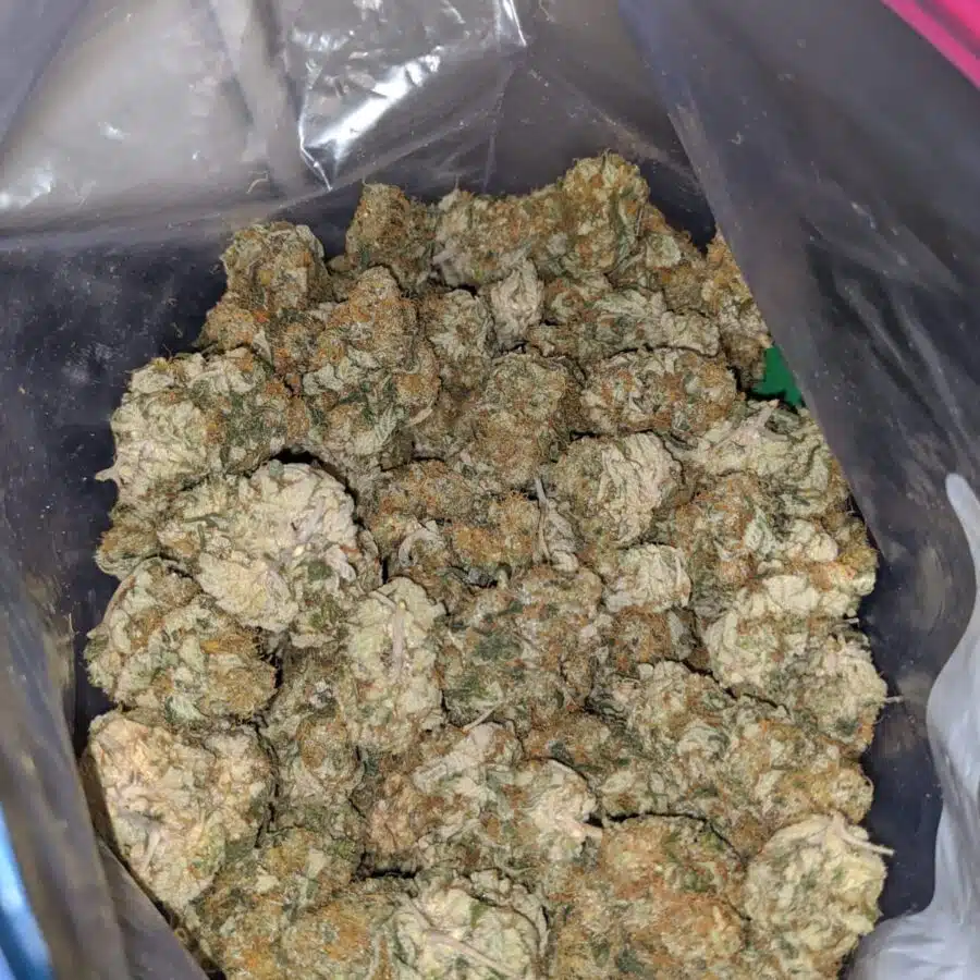 larry og dod 3 I Larry OG - *Deal of the Day*